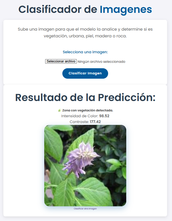 Imagen Proyecto